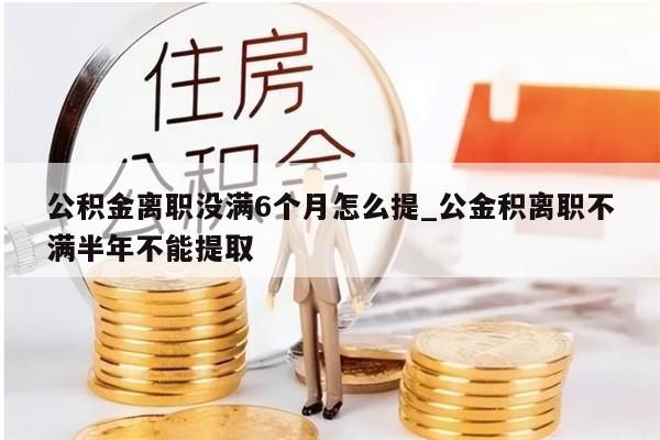 公积金离职没满6个月怎么提_公金积离职不满半年不能提取